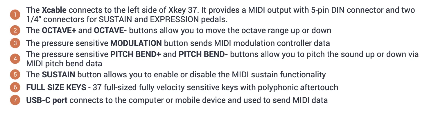 ESI Xkey 37 MIDI keyboard with 37 full-size keys shown from above against white background