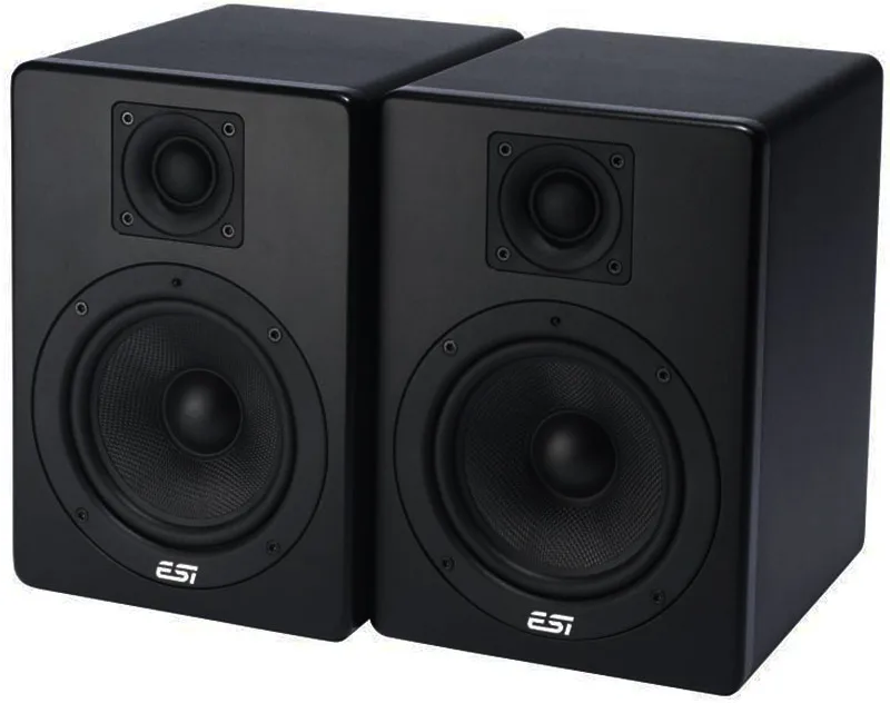 Pair of black ESI studio monitors with 8-inch woofers and 1-inch tweeters, angled view on white background