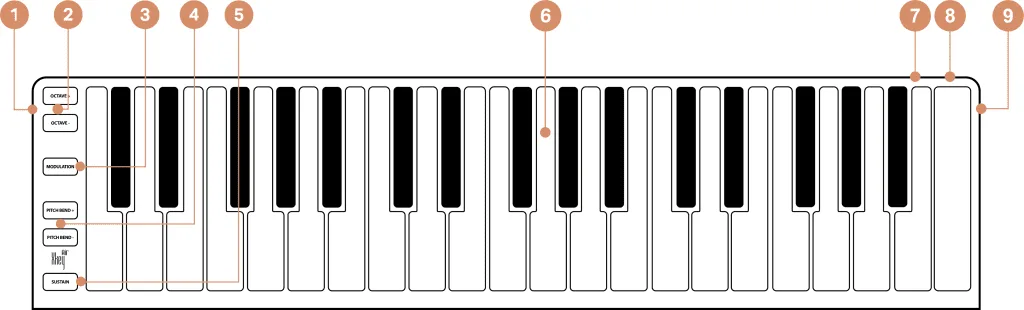 ESI Xkey Air 37 top-down view showing 37 keys with black and white keys, control buttons on left side