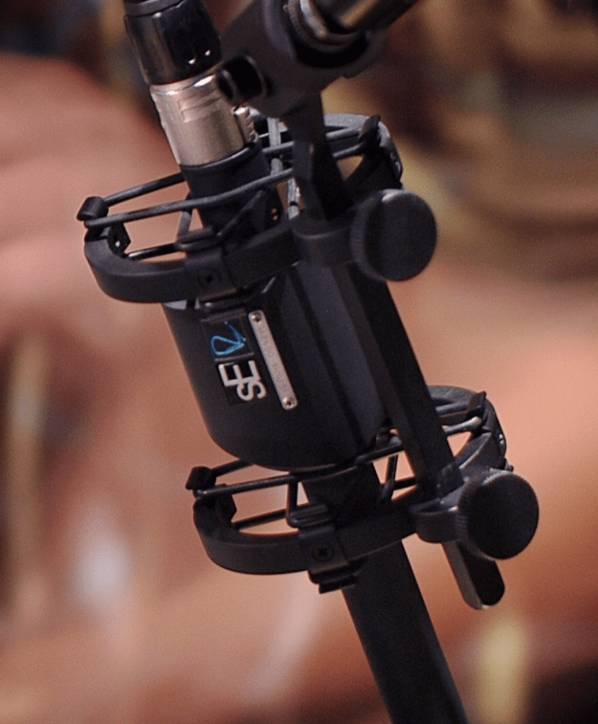 sE Electronics RN17 Rupert Neve Pencil Microphone (Stereo Set) - It ...